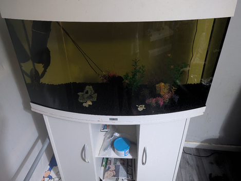 Selling fish tank