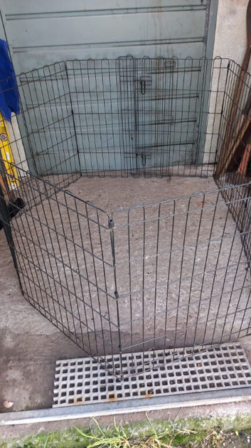 rabbit pen