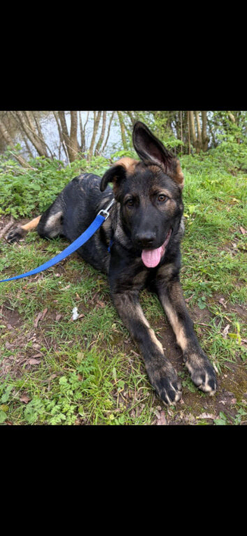 Chuck is 10months old