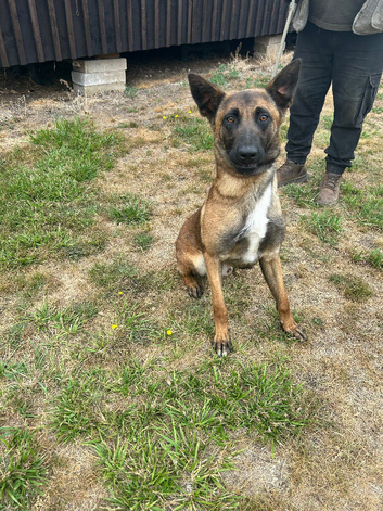 16 Month old Boy