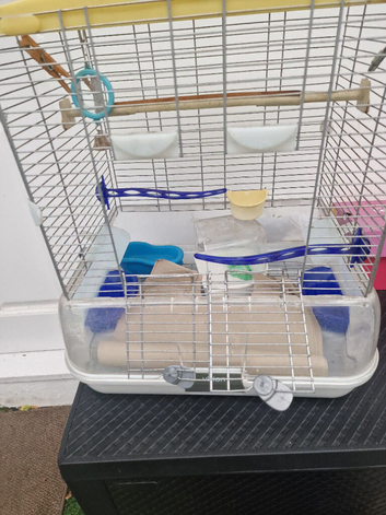 Budgies cage