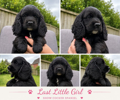 1 little girl left
