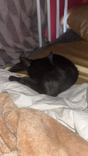 Binx