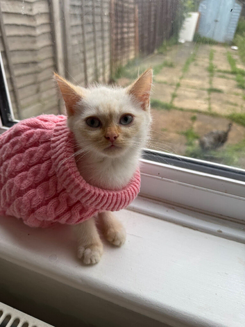 One little girl