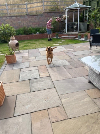 Dog Home Boarding in Needham Market - Doggy Home from Home