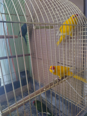 For sale