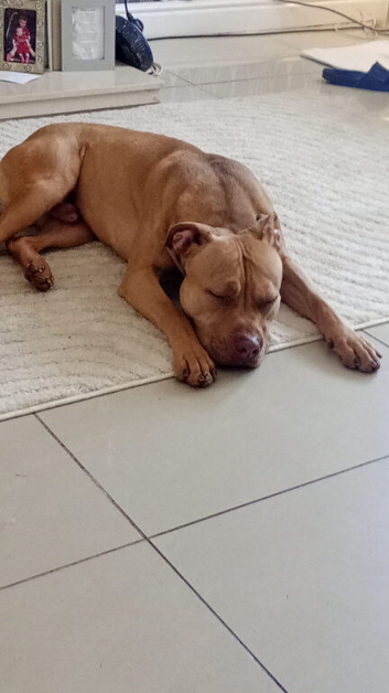 Simba needs some love
