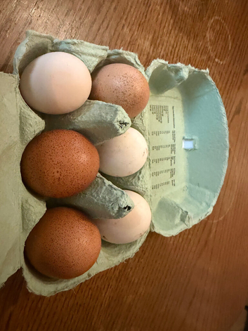 6 mixed breed chicken eggs
