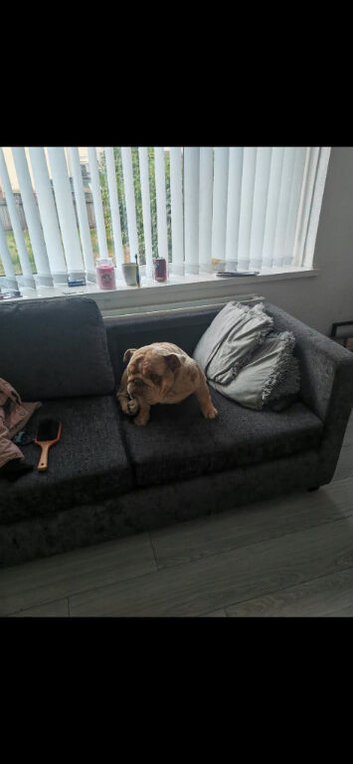 ROLO 3 YEARS OLD!