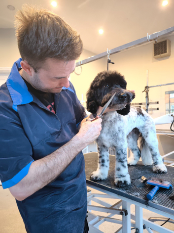 Dog groomer