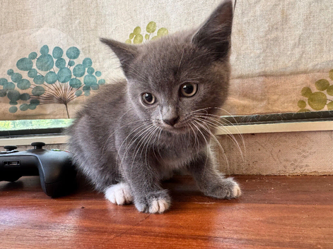 Handsome boy
