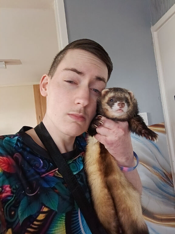 Wild polecat Trained house pet 4 years old biggest and healthy top for breeders the female died and he's missing her he needs a new home to make him h