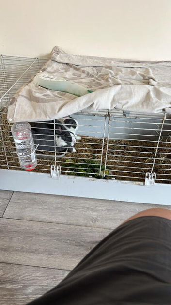 Pets at Home 120 cage + hide & water bottle - good condition