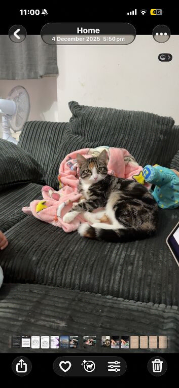 Needs rehoming asap
