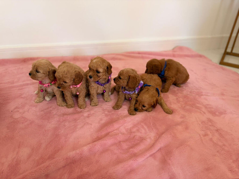 Beautiful baby&rsquo;s boy & girls