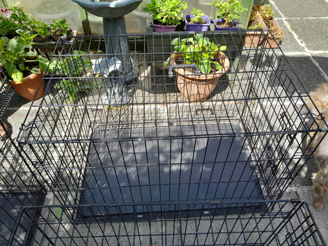 Dog crates