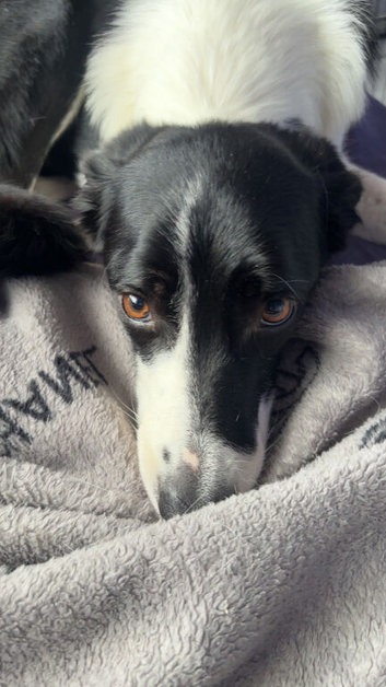 Nell