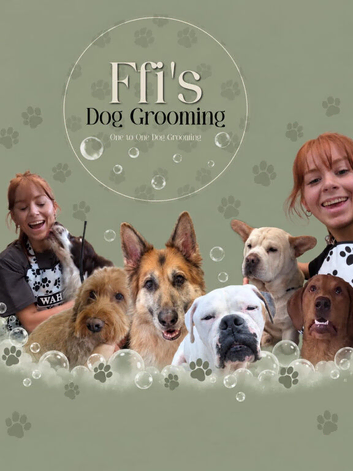Ffyons Grooming