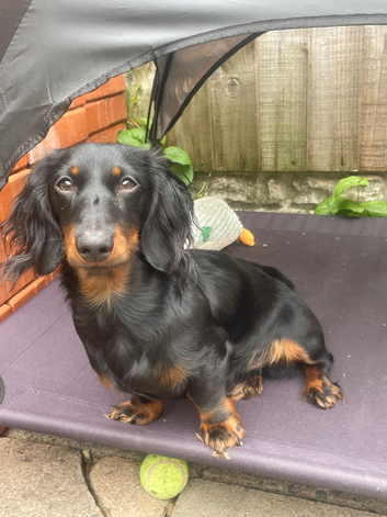 Longhaired boy