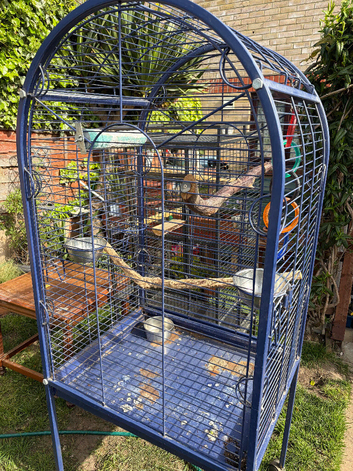 Nice parrot cage for sale