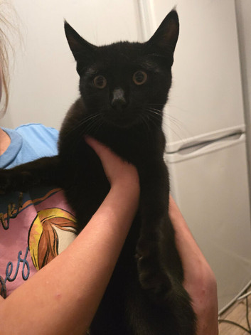 Sweet & Loving Black Boy Looking for a Loving Home