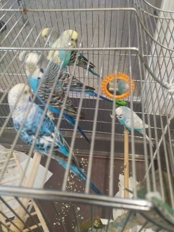 For sale