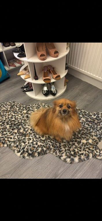 Rehome