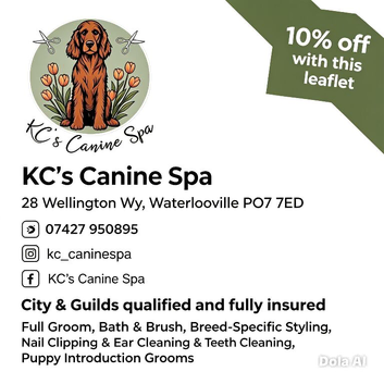 KC&rsquo;s Canine Spa - Waterlooville- Dog Grooming