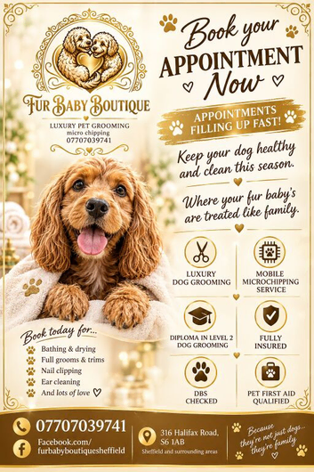 Fur Baby Boutique luxury 1to1 pet grooming