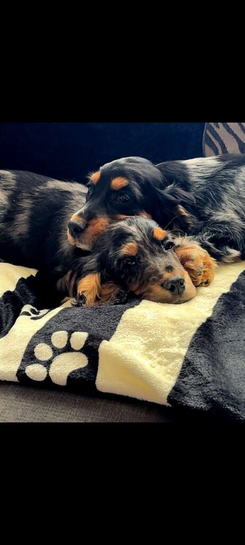 Brother and sister
