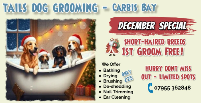First Free Groom Free during December for Short-Haired Breeds