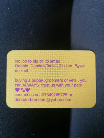 Debador poodles pet transport D.D.T.Z