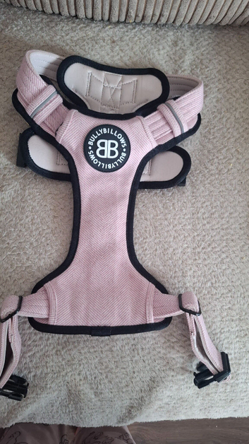 Pink BullyBillows harness