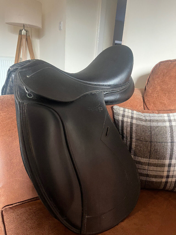 Saddle