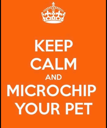Microchipping