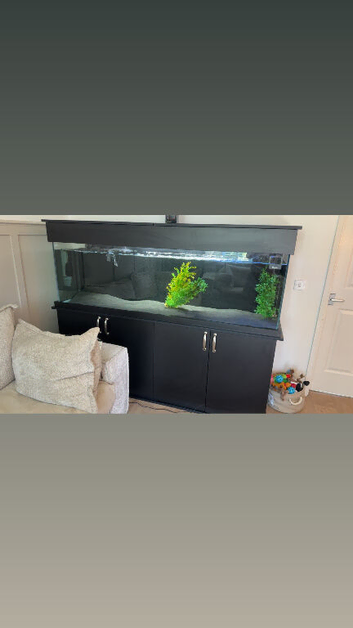 6foot tank