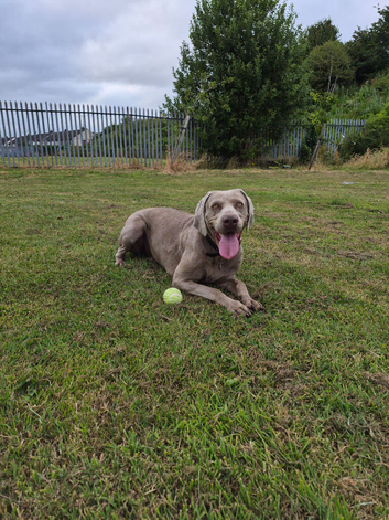 New home for Skye