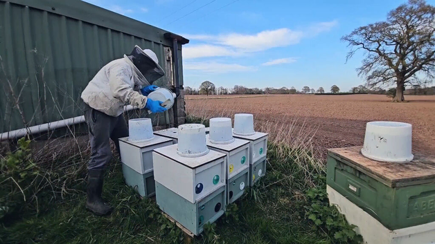 Spring 2026 National Nucs, bee nucs.