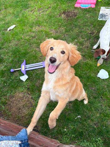 Honey 7 month old girl