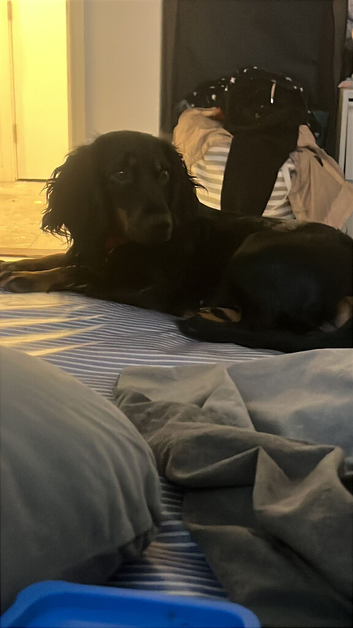 1 years old girl