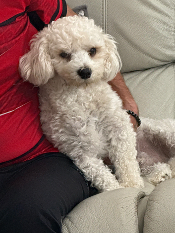 Beautiful Bailey