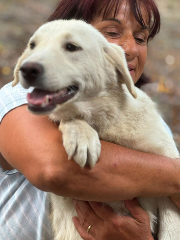 ️ SNOWY &ndash; The Beautiful Girl with the Gentle Soul ️