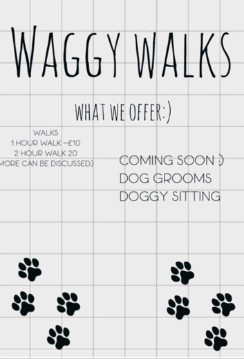 dog walking :)