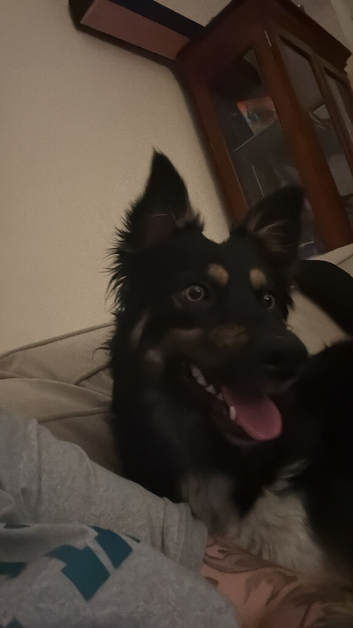 Active/working family needed for Poppy.