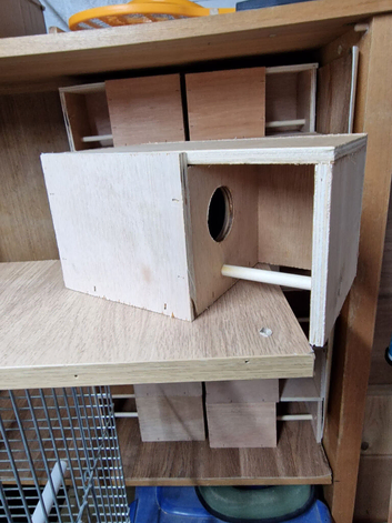 Finch nest boxes