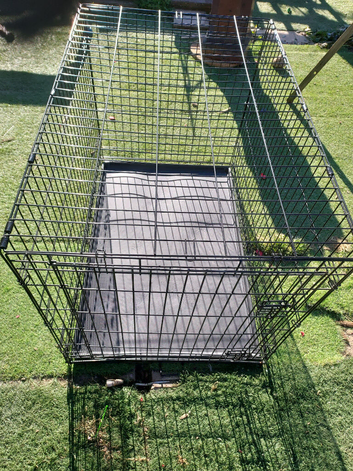 Xl dog cagev