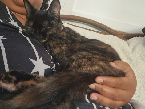 Loving willow looking for a home.