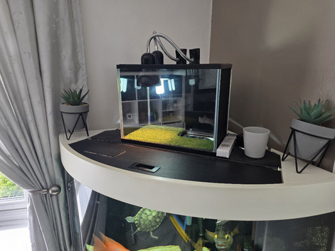 Juwel Trigon 190 Litre corner fish tank 70cm x 70cm