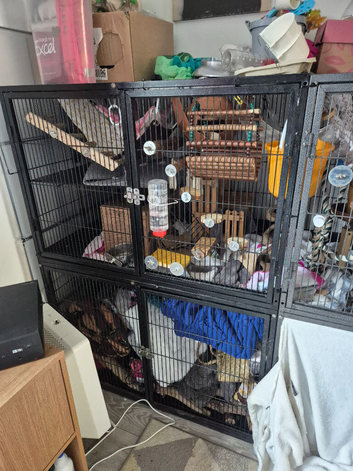 Cage and accessories