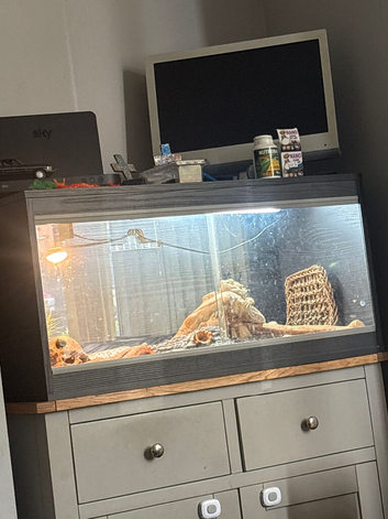 Vivarium brand new